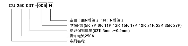 20240419_104552order_CU2500_cn.jpg
